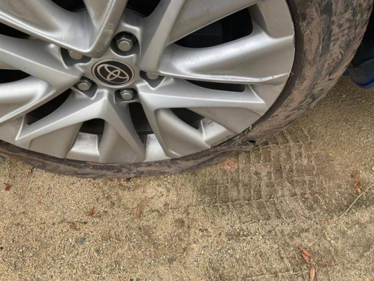 TOYOTA MIRAI - 1499.jpg